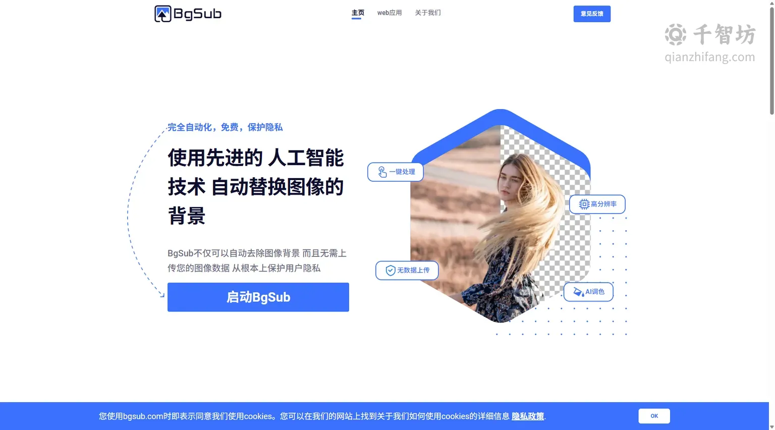 BgSub